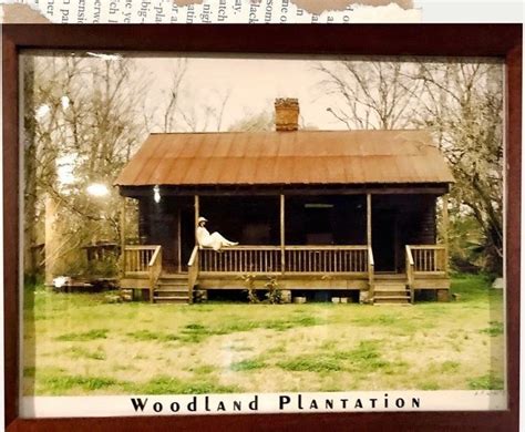 Woodland old - Woodland Plantation