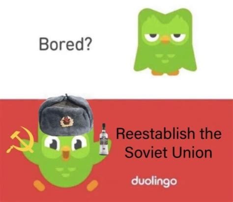 25 Funny Duolingo Memes that are Slightly Threatening - AMJ