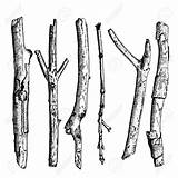 Twig Colouring Pages Sketch Coloring Page sketch template