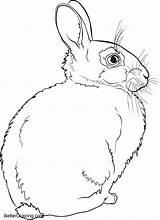 Rabbit In Winter Coloring Pages  Free Printable sketch template