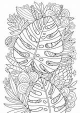 Tropical Coloring Page sketch template