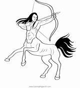 Centaurs 2 Coloring Page For Kids  Free Printable sketch template