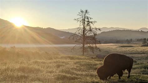 Your Wyoming Sunrise: Thursday, July 27, 2023 | Cowboy State Daily