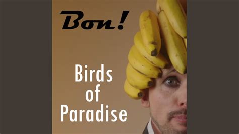 Birds of Paradise - YouTube