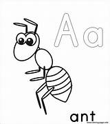 Ant Coloring Pages  ColoringBay sketch template