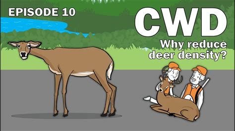 CWD Series Episode 10 - Why increase deer harvest for CWD management? - YouTube