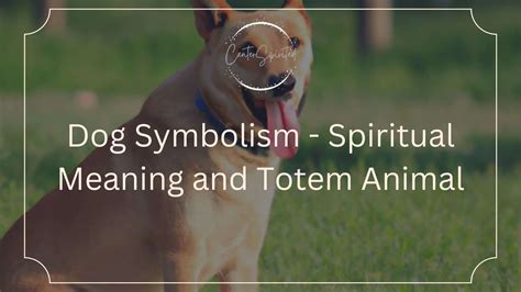 Dog Symbolism - Spiritual Meaning and Totem Animal