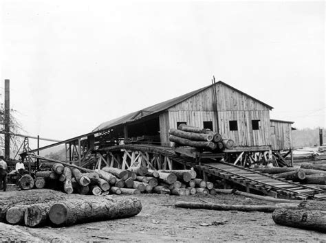 Lumber Mill | A lumber mill processes trees from the forest … | Flickr