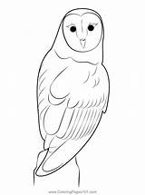 Owl 5 Coloring Page For Kids  Free Owls Printable Pages sketch template