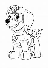 Paw Patrol Zuma Coloring Pages  4 Free Printable Coloring Sheets 2021 sketch template