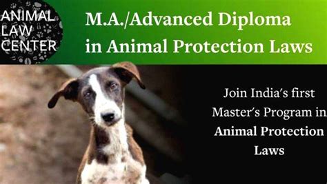 India’s first MA in animal protection laws: Animal Law Centre is ...