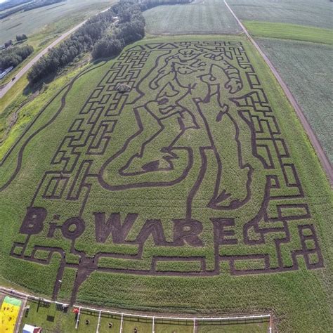 Corn Maze Designs