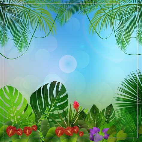 Premium Vector | Tropical forest background