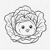 Para Lechuga Colorear Dibujo Salat Sla Salade Coloriage Lettuce  sketch template