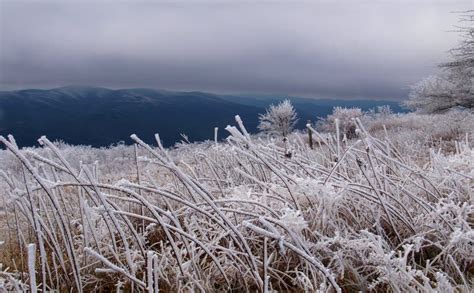 Whitetop Mountain stock photo. Image of plants, southern - 62712852