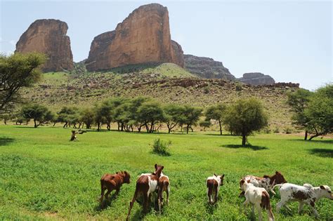 Photo Essay: The Incredible Sights Of Mali | AFKTravel