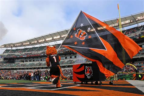 NFL fans don’t like the Bengals’ logo. Here’s how it can be improved. - Cincy Jungle