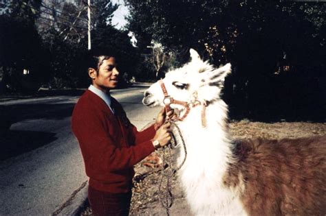 Michael Jackson and llama - Michael Jackson Photo (38073070) - Fanpop