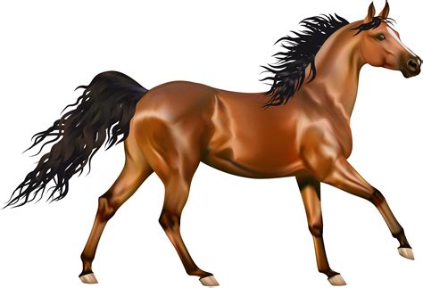 Horse clipart arabian horse, Horse arabian horse Transparent FREE for download on WebStockReview ...