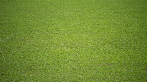 Natural background of a green football pitch of grass. 2316541 Stock Photo at Vecteezy