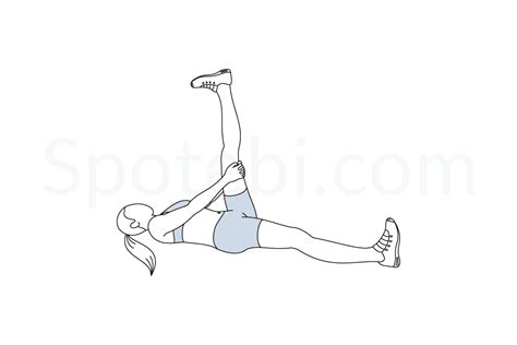 Hamstring Stretch | Illustrated Exercise Guide