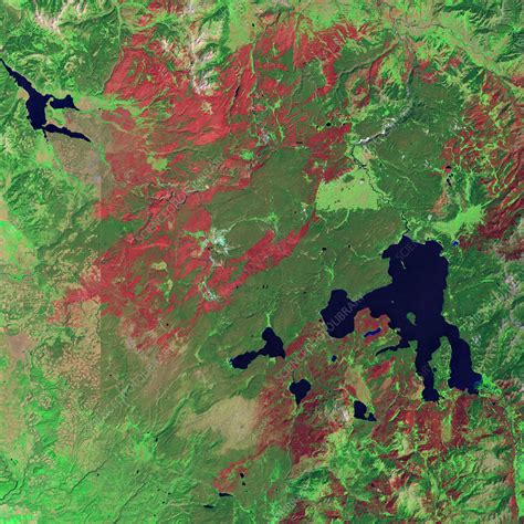 Yellowstone a year after 1988 fire, satellite image - Stock Image ...