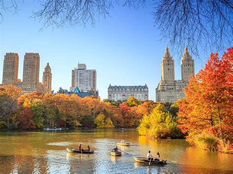Fall colors 2019: Where to see fall foliage in New York City - Curbed NY