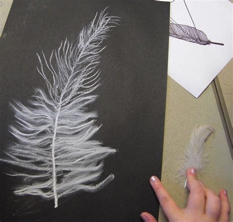 feather drawings | These drawings were done by children aged… | Flickr