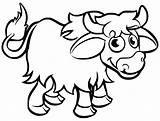 Yak Coloring Pages  Free Printable For Kids sketch template