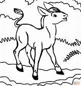 Cute Donkey coloring Page  Free Printable Coloring Pages sketch template