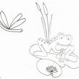 Pond Coloring Pages  Free Printable sketch template
