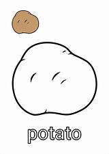 Potato Coloring Plants Sketch Page sketch template