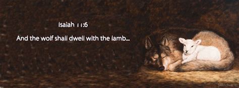 And the wolf shall dwell with the lamb.. | Wolf, Deep thoughts, Lamb