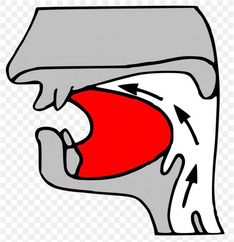 Retroflex Consonant Alveolar Consonant Apical Consonant Place Of Articulation Velar Consonant ...