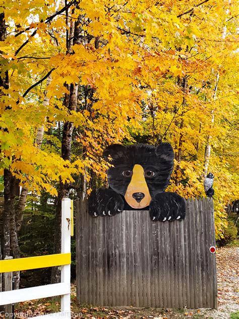 Fall Foliage in Vermont – Great Escapetations