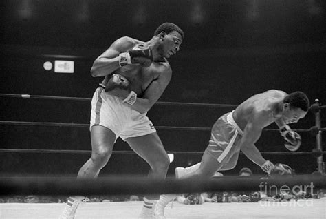 Joe Frazier Boxing Against Buster Mathis by Bettmann