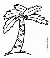 Palm Tree Coloring Pages To Print  Home sketch template