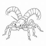 Scorpion Coloring Page sketch template