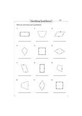 Quadrilaterals Coloring Activity Pages sketch template