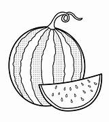 7 Fresh Pictures Of Watermelon Coloring Sheets  Pages sketch template