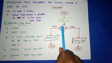 Flow Chart Of Even And Odd Number