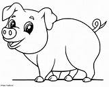 Baby Pig 4 coloring Page sketch template