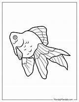 Free Printable Goldfish Coloring Pages For Kids Free Printable Rainbow sketch template
