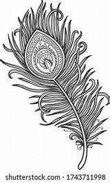 Mandala Coloring Page Peacock Feather Design Stock Vector Royalty Free  sketch template