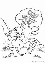 Dibujos Para Colorear De Disney Bunnies sketch template