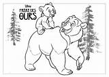 Bear Brother Coloring Pages Printable Template His Achan Sin Sheet  sketch template