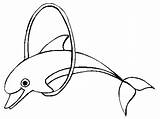 Dolphin Coloring Pages  Free Printable For Kids sketch template
