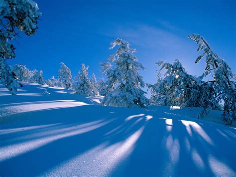 Winter Desktop Backgrounds ~ Free Wallpapers For PC