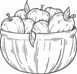 Basket With Apples coloring Page  Free Printable Coloring Pages sketch template