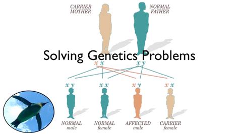 Genetics - Lessons - Blendspace